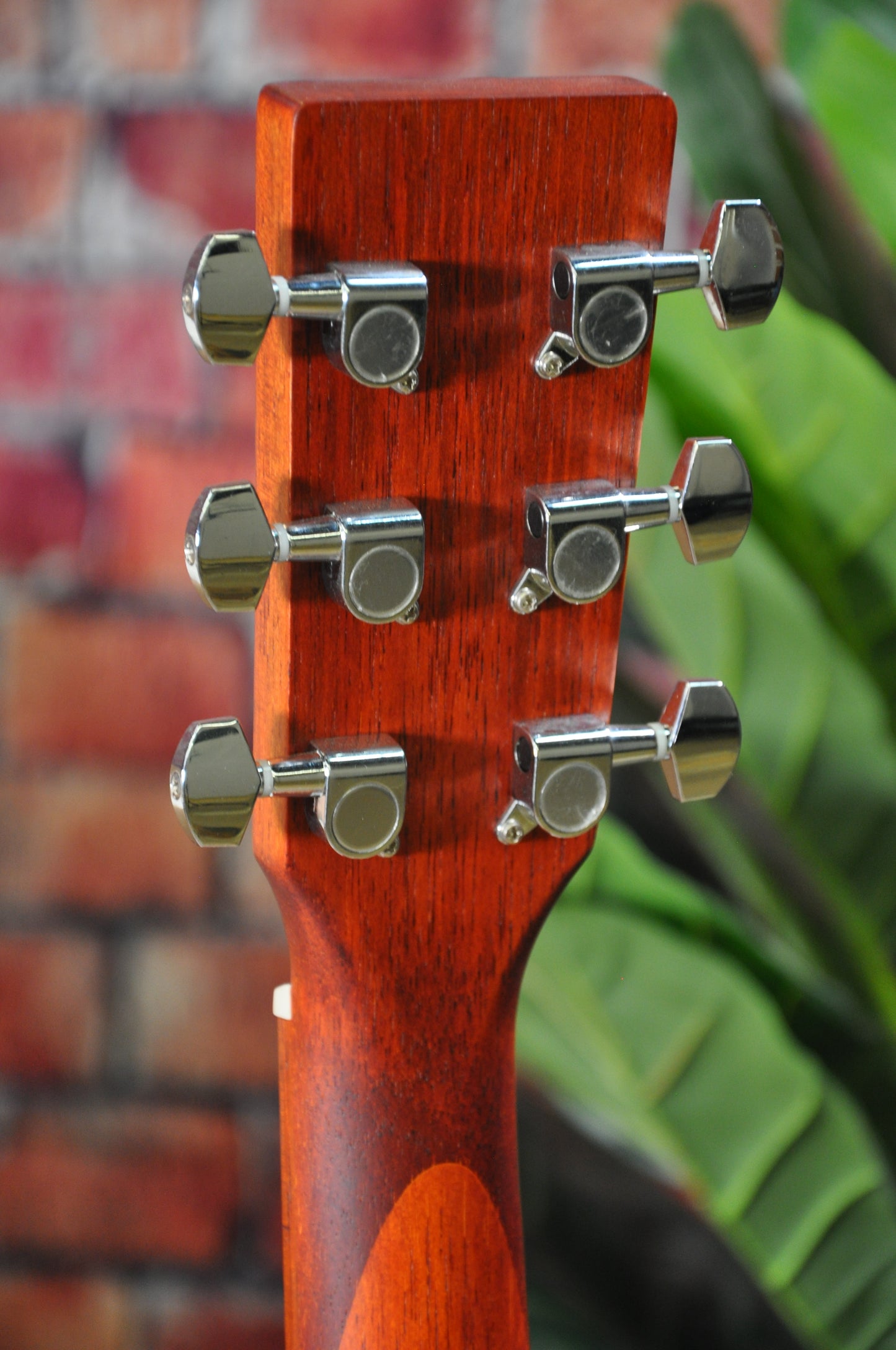 Bodhi Concert Acoustic Guitar BG10M