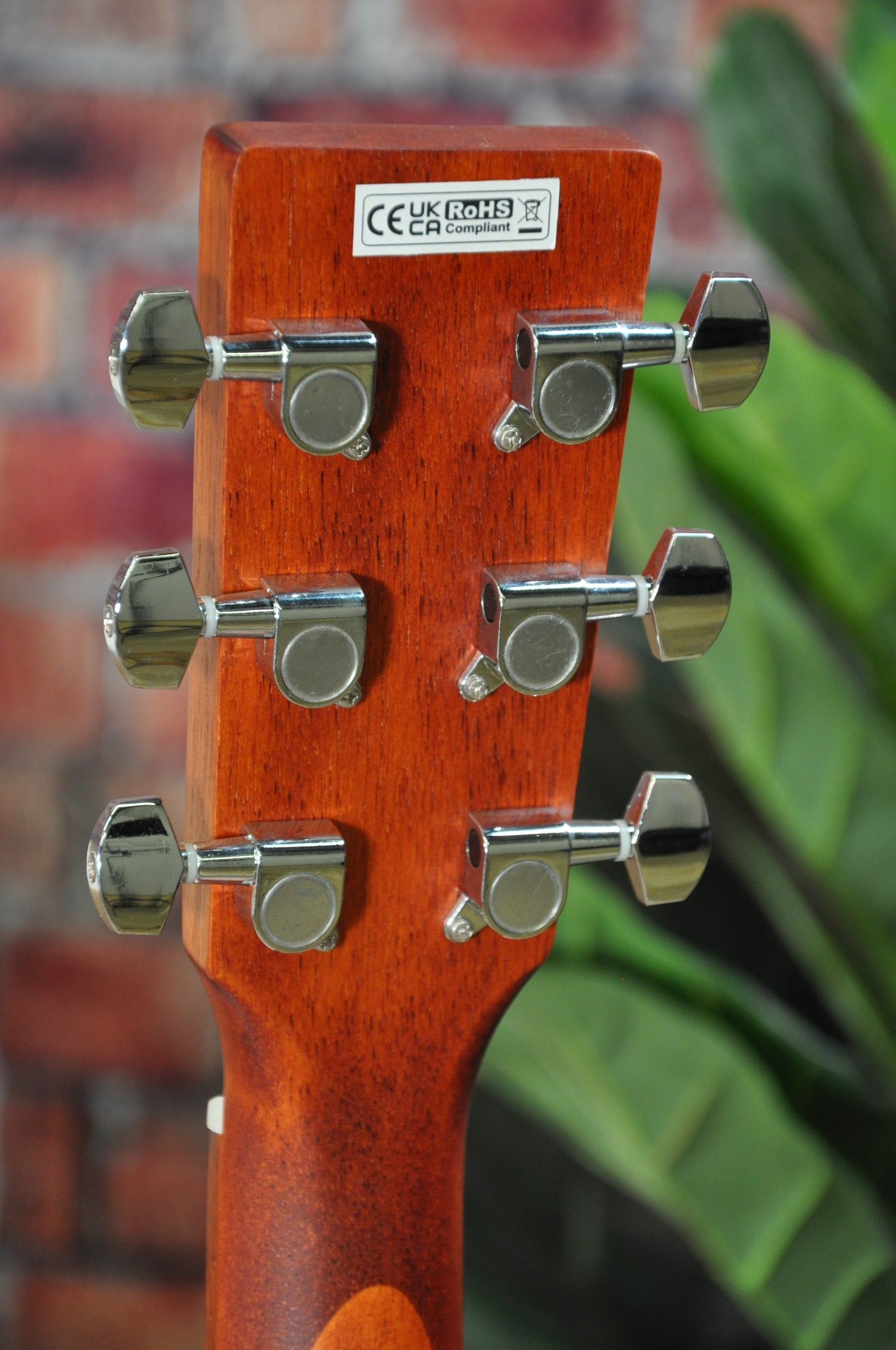 Bodhi Concert Acoustic Guitar BG10E