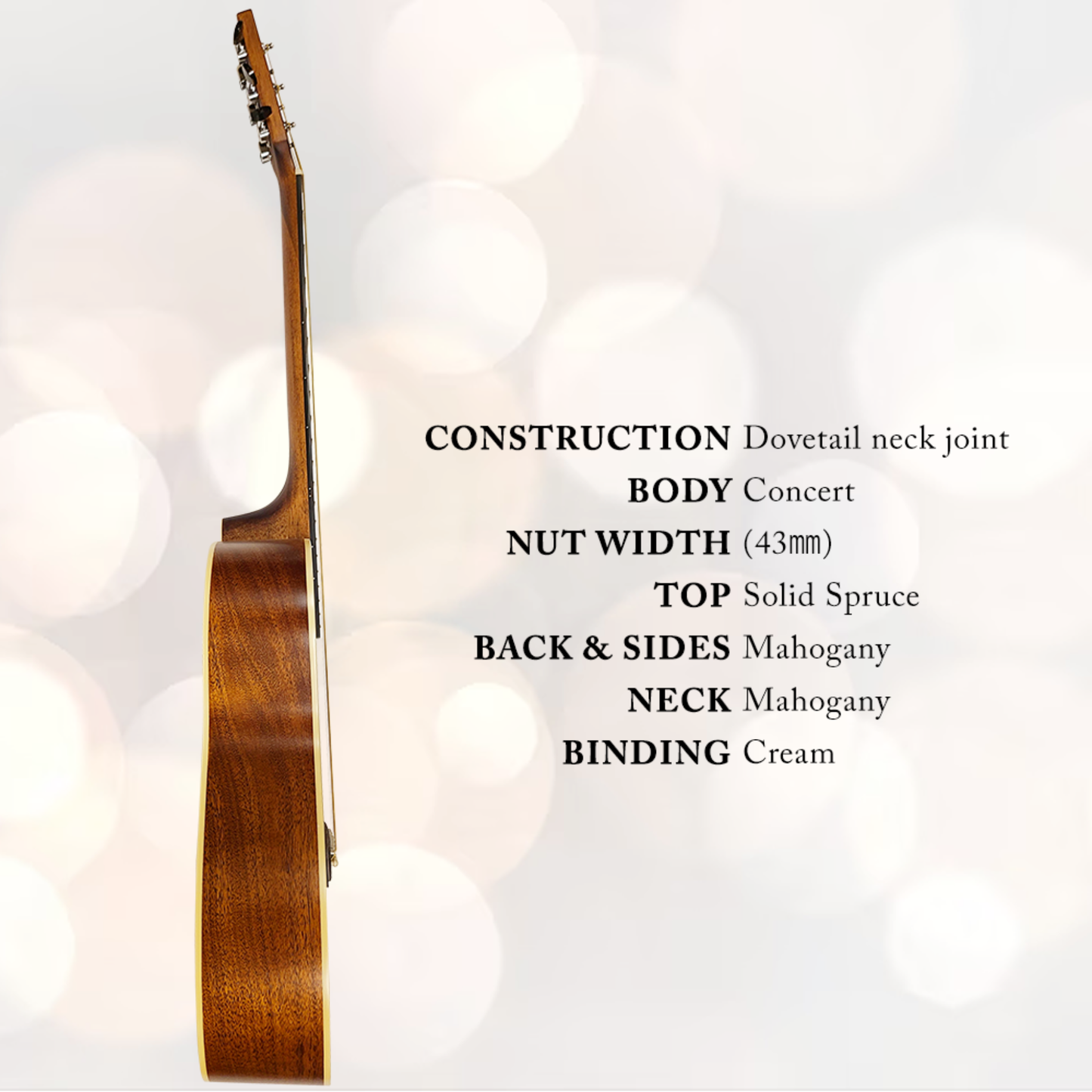 Berkeley Acoustic Guitar