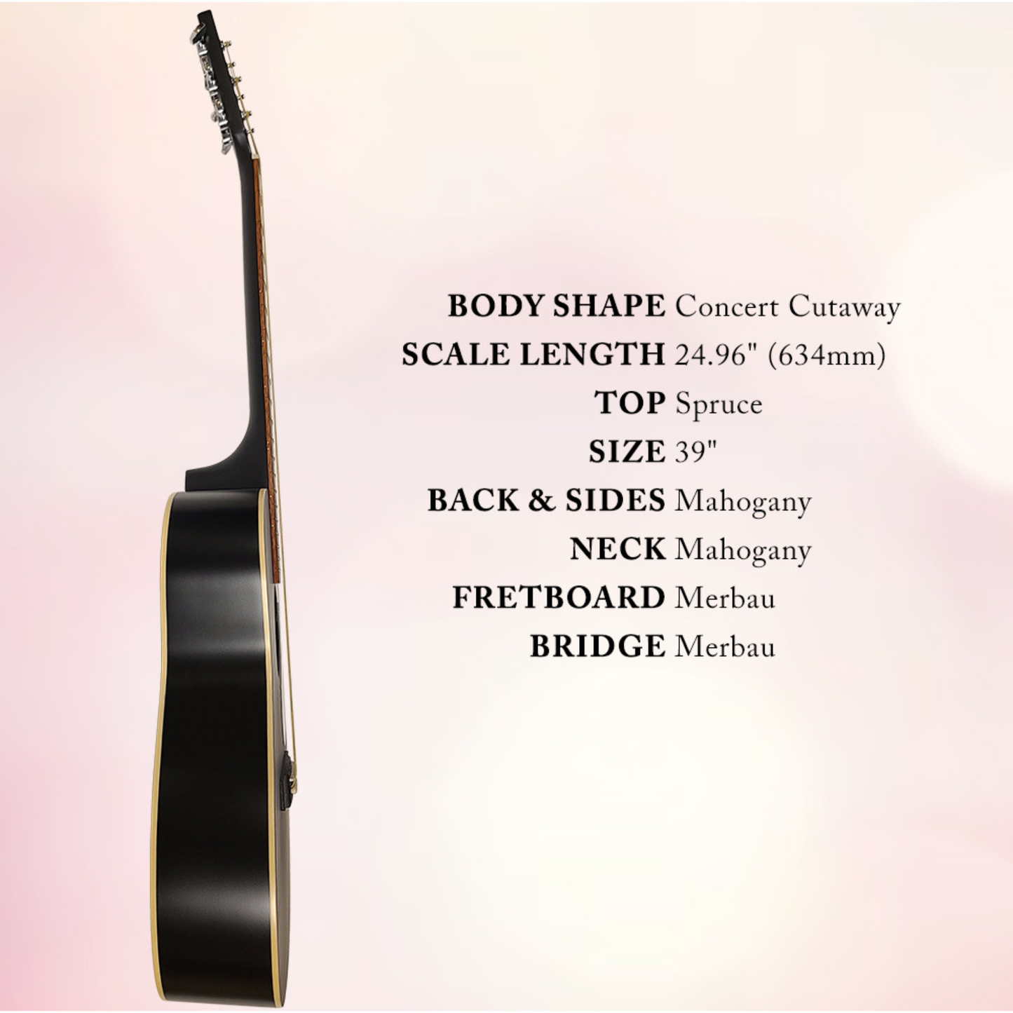 Berkeley Acoustic Guitar