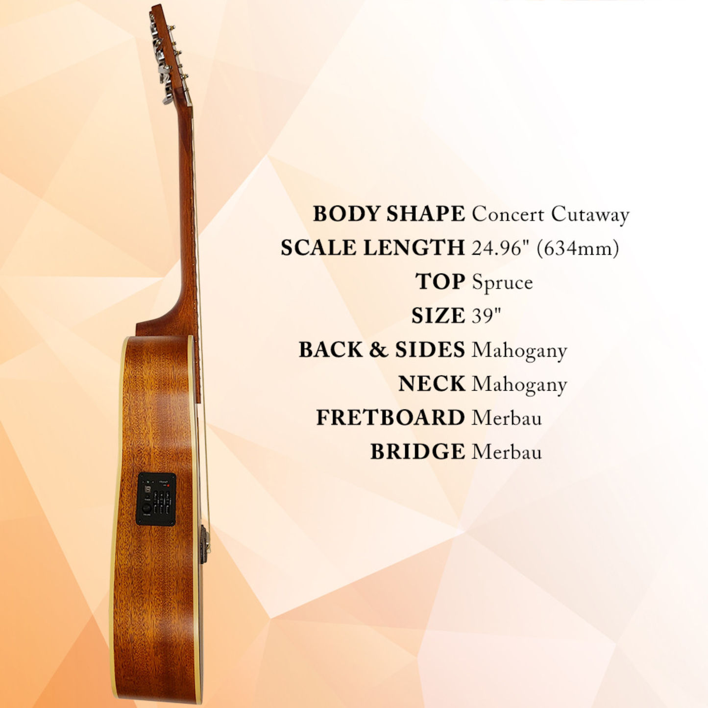 Berkeley Acoustic Guitar