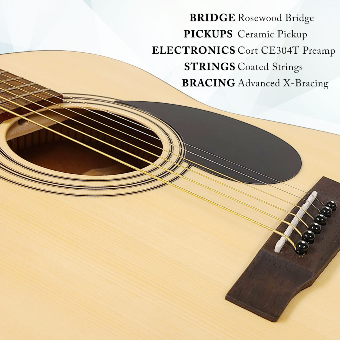 Berkeley Acoustic Guitar