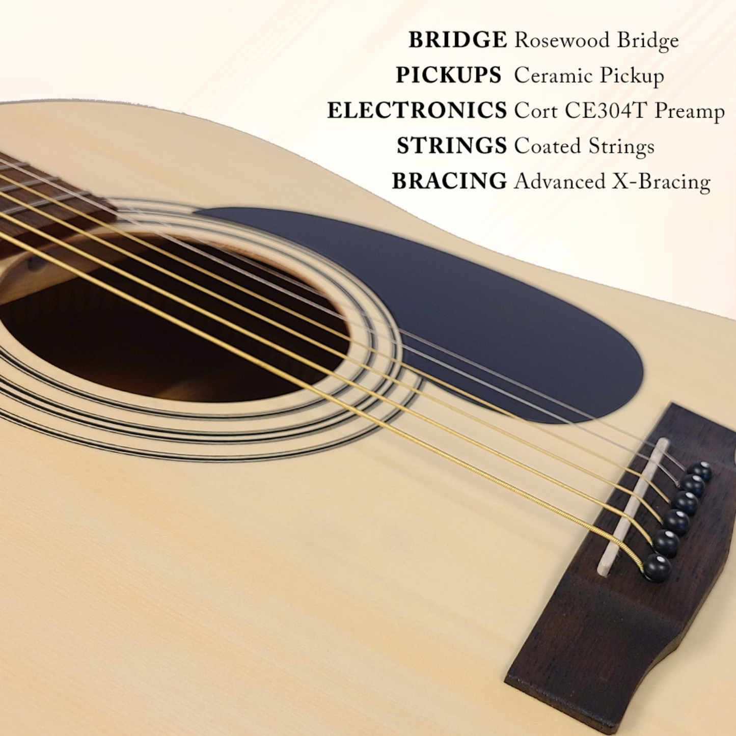 Berkeley Acoustic Guitar