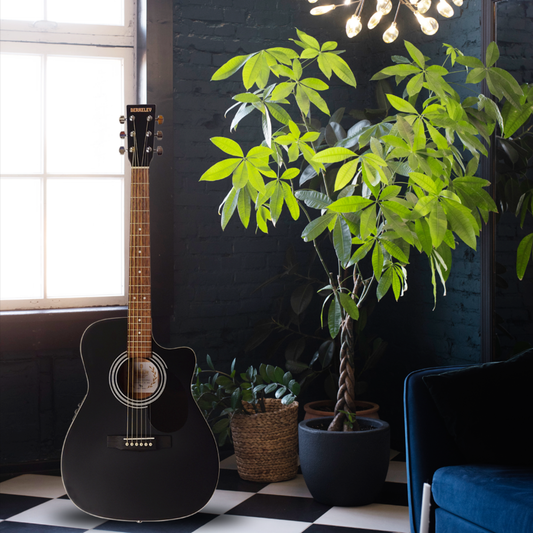 Berkeley Acoustic Guitar