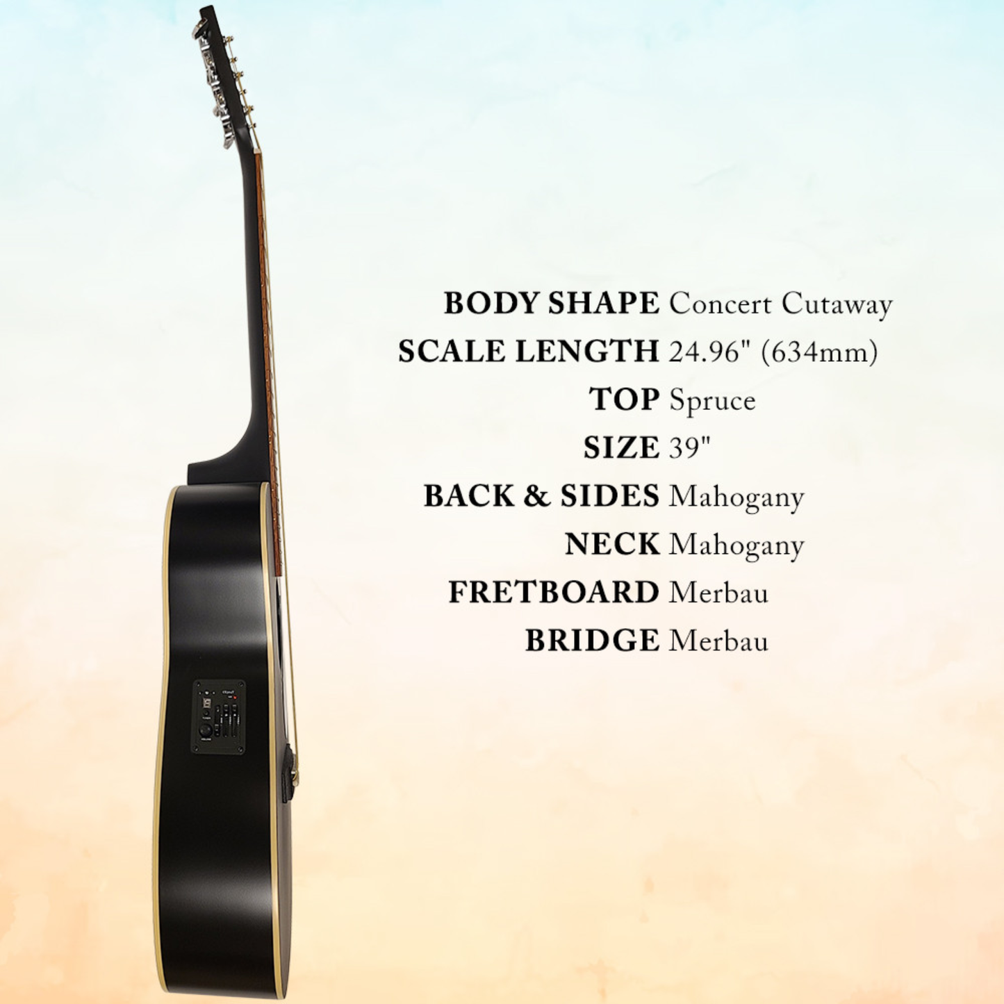 Berkeley Acoustic Guitar