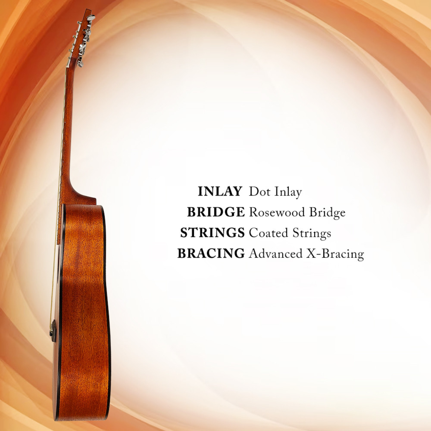 Berkeley Acoustic Guitar